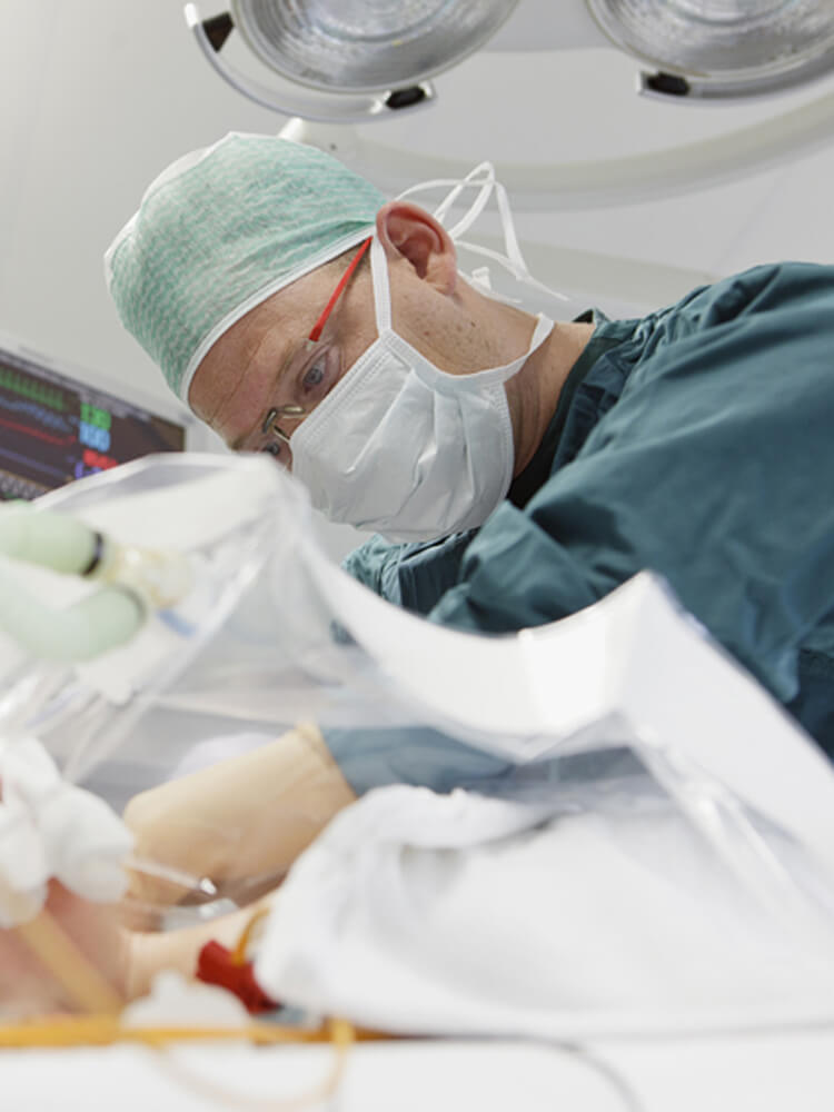 Eric Koomen, Utrecht, Nizozemsko